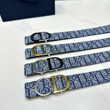 디올 오블리크 코스모 벨트